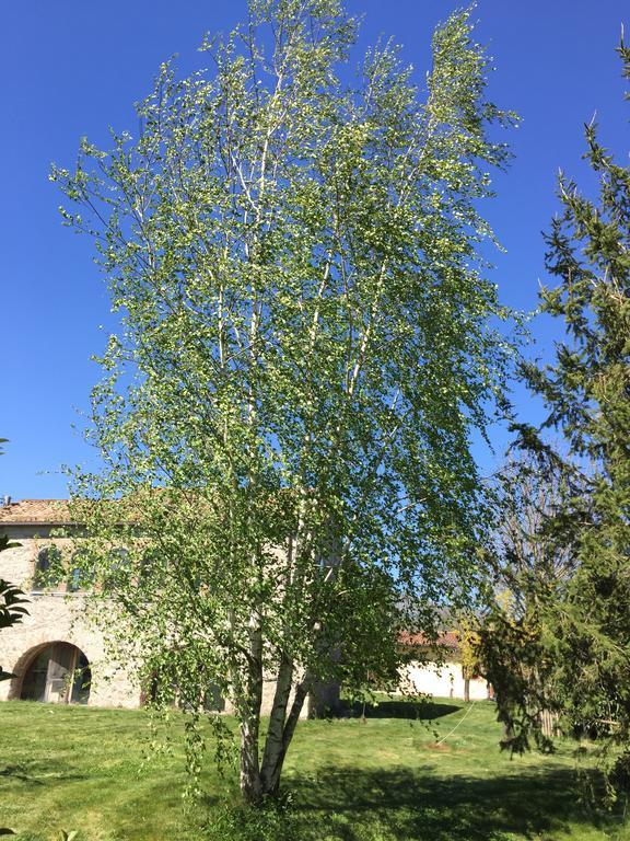 Agriturismo Le Due Arcate Villa San Massimo  Esterno foto